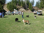 IMG_1486.JPG