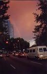 After the storm