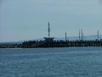 DSCF0889