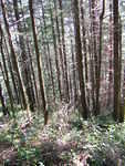Dennit Lakes Mar/05