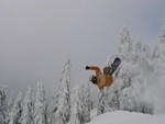 Cypres Jan/06