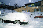 Hiedi's next door (everyone got snowed in during a storm in August