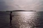 fishing lanceline